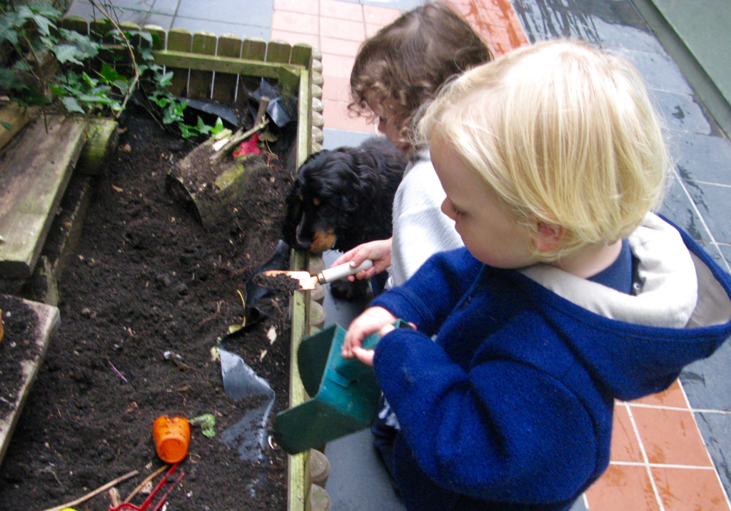The Garden